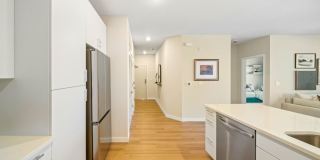 Emblem Renata Gallery 4