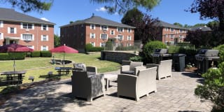 Mill Street Gardens Gallery 29