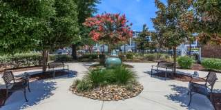 The Sage at 1240 Gallery 17