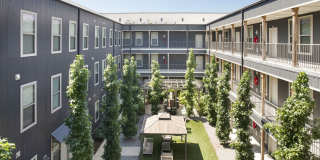 Thrive Argenta Gallery 24