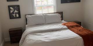 2014 Willis St Gallery 7