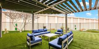 Spring Parc Gallery 14