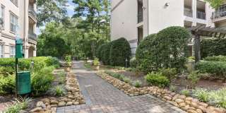 Avana Uptown Gallery 32