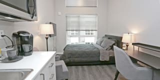 Novo Novo Gallery 19