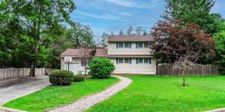 6 Bliss Terrace Gallery 1