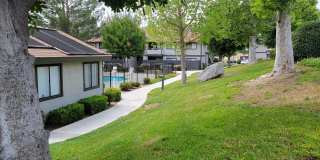 Dove Ridge Gallery 14