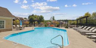 Woods at Perry Lane Gallery 12