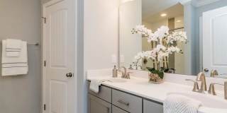 Room in 3 Bedroom Home at Scholar Dr Gallery 8