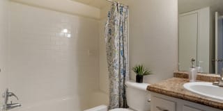 Pear Orchard Gallery 15