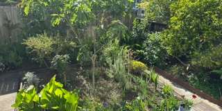 Epic REA- Serene 2 BR/1 BA Flat w/Private Deck & Yard in Lone Mountain Gallery 60