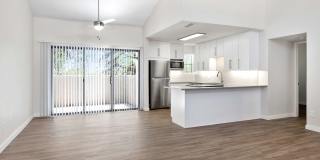 Cortland North Tucson Gallery 2