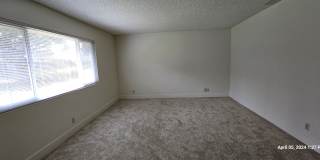 Orcutt Single Story Recently Updated Home with Large Yard Gallery 28