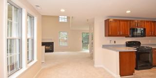 6008 GOOD LION Court Gallery 15