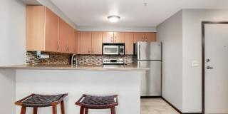 1Bd/1Ba Seattle Condo Gallery 14