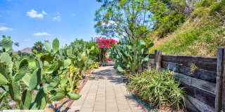 An Oasis of Calm In the Center of Riverside, CA Gallery 53