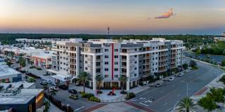 Icon One Daytona Icon One Daytona Gallery 1