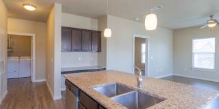 Century Palm Bluff Gallery 26