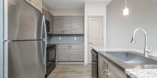 RIZE at Winter Springs Gallery 88