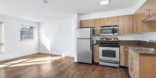 Tempo Apartments Gallery 12