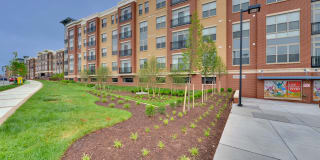 3350 at Alterra Gallery 2