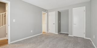 Buena Vista Gallery 42