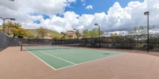 29323 N 21st Dr Gallery 28