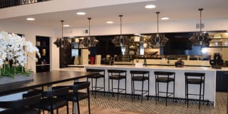 Magnolia Square Gallery 19