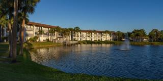 Cameron Cove Gallery 19