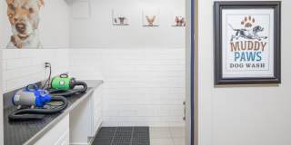 2121 Belmont Gallery 22