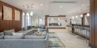 Arlington 360 Gallery 11