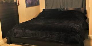 Gorgeous 3-Bed Townhome in Whitman! Available mid-July! Gallery 12