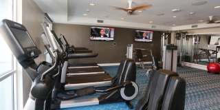 770 South Harbor Gallery 45