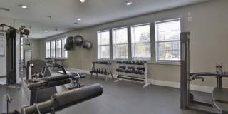 Island Club Gallery 16