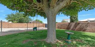 Spacious 3 bedroom 2 bath home with Solar Panels Gallery 28