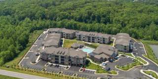 Silver Collection at Celebrate Gallery 4