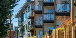 Janus Janus Gallery 17