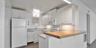 t120 Gallery 12