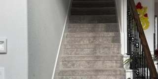 207 Midnight Trail Gallery 11