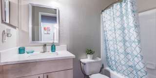 Collington Apartments Gallery 15