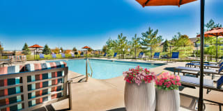 Whispering Ridge Gallery 12