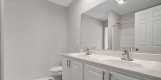 College Park Gallery 4