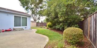 COMING SOON! | $3,990 /  BEAUTIFUL BROOKVALE HOME IN CENTRAL FREMONT Gallery 13