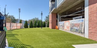 Meridian at the Port Gallery 41