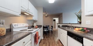 Ashley Cascade Gallery 10