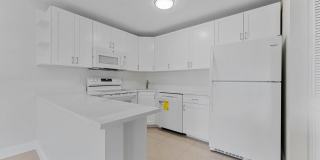 537 Shady Pine Way Gallery 13