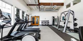 Allegro Lynwood Gallery 49