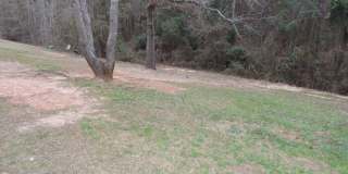 3881 Crest Drive Gallery 40