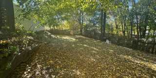 916-918 Grandview Street - 916 Gallery 20