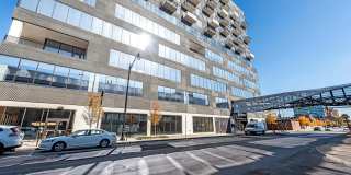 80 on the Commons Gallery 1