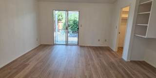 3bd/2ba Single Story, Fresh Updates, Huge Backyard Gallery 12